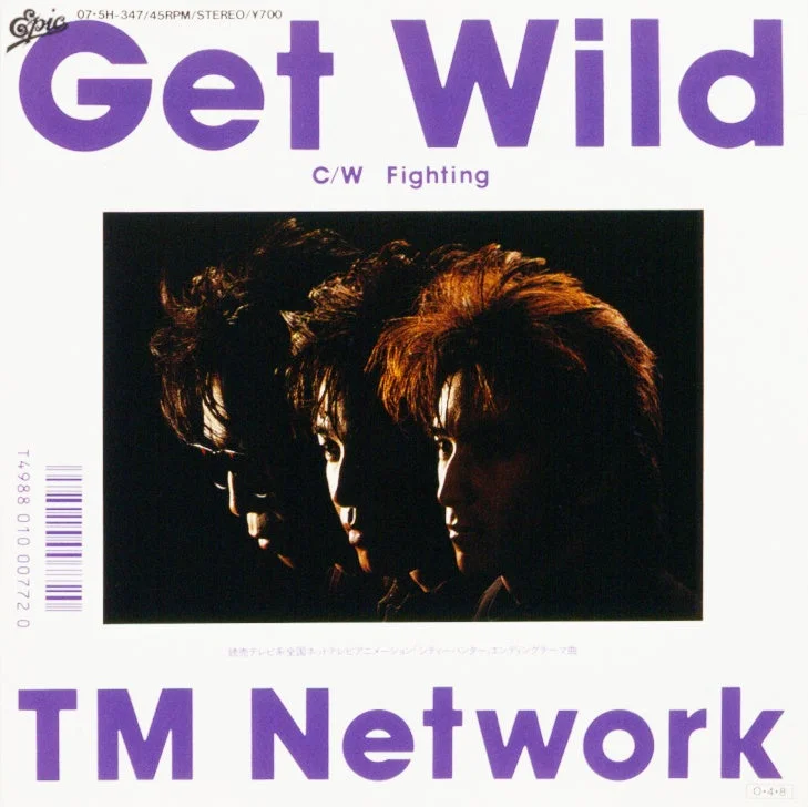 TM Network,Get Wild,CDシングル,邦楽,音楽,アニメソング,シティーハンター,80年代,J-POP,小室哲哉,宇都宮隆,木根尚登,男性グループ,ポップミュージック,昭和