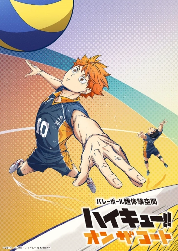 日向翔陽がボールに飛びつく躍動感ある姿